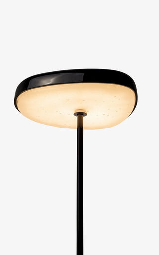 Fungi Pendant ( P) by Wentz