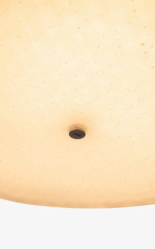 Fungi Pendant (L) by Wentz