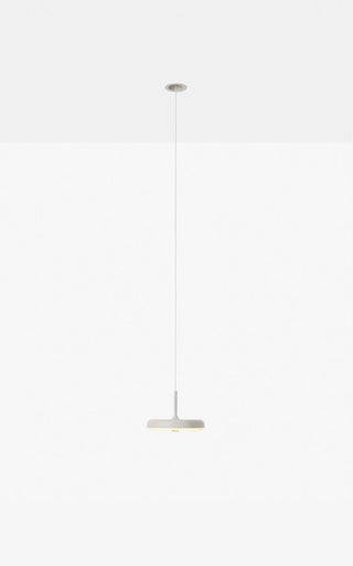 Fungi Pendant ( P) by Wentz