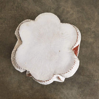 Table Terra Drinks I par Yehrim Lee