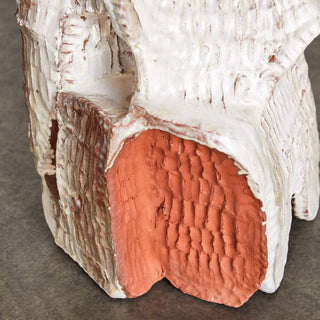 Table Terra Drinks Il par Yehrim Lee