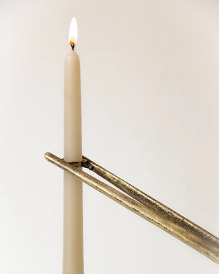 Temis by Federico Stefanovich