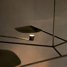 Folia Ceiling Lamp by Federico Stefanovich